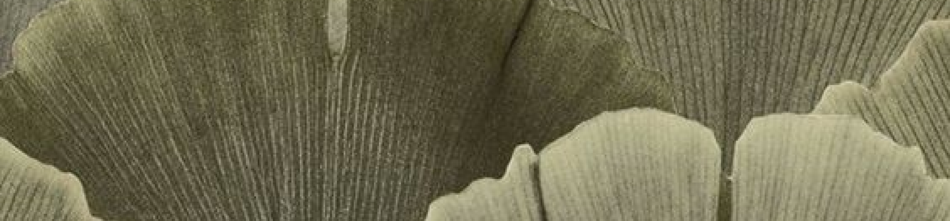 Pure Glow Background